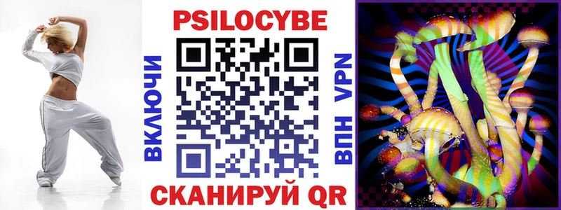Псилоцибиновые грибы Cubensis  Верея 